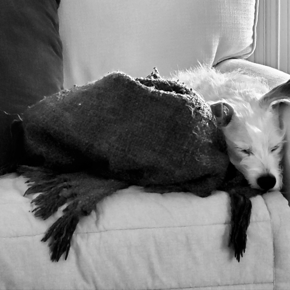 Meet your Posher, Courtney - Picture 1 of 1